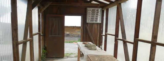 Uncle Harry’s Farm: Greenhouse Technology, Reaping the Harvests