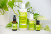 Organic Neem Oil
