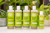 Stimulating Lavender - Silky Shea Shampoo (8 fl oz)