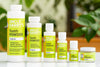 All Natural Tooth Powder