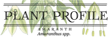Plant Profile: Amaranth